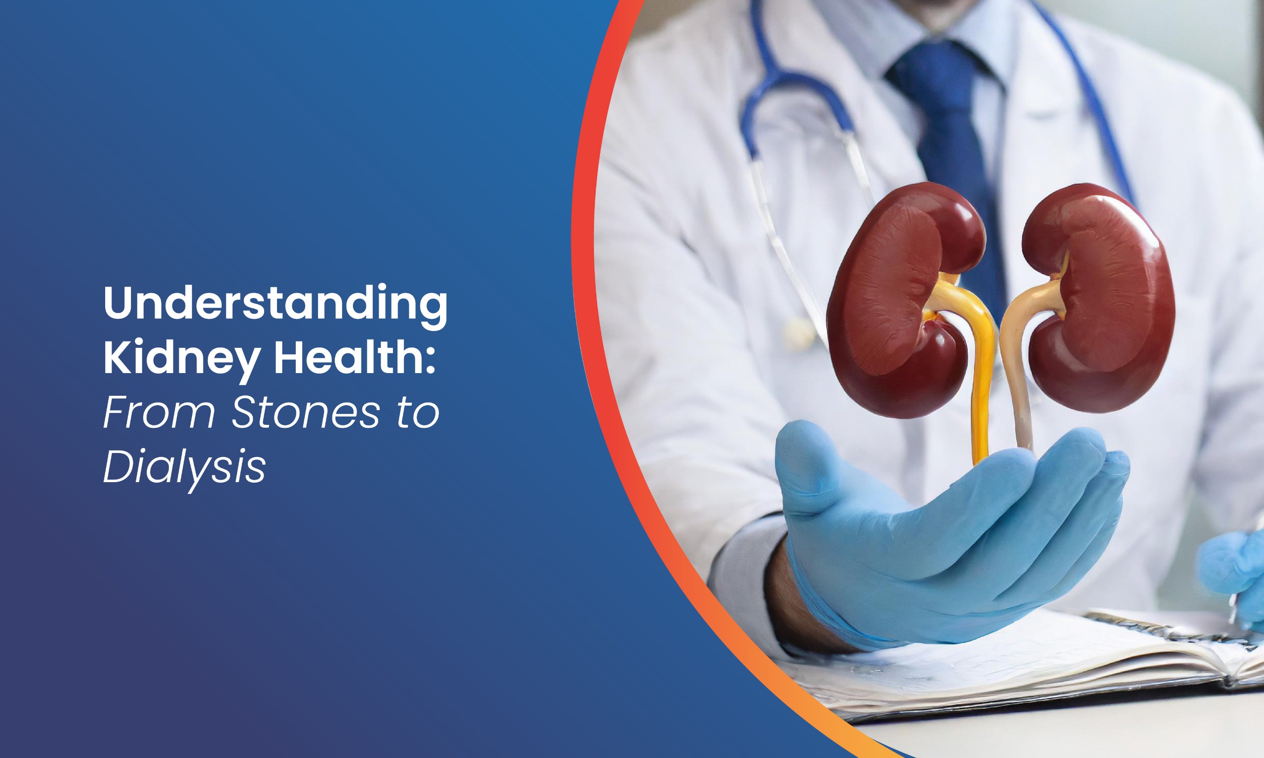 Understanding Kidney Health: From Stones to Dialysis